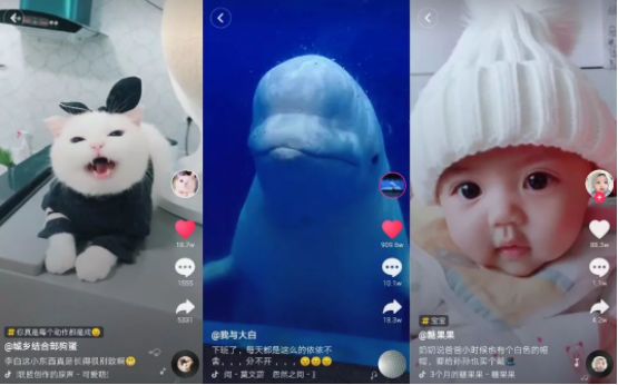 1 1015 在抖音，如何做出爆款内容？