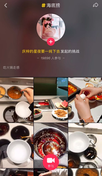 1 121 支付宝、海底捞等24个品牌「抖音」运营解析