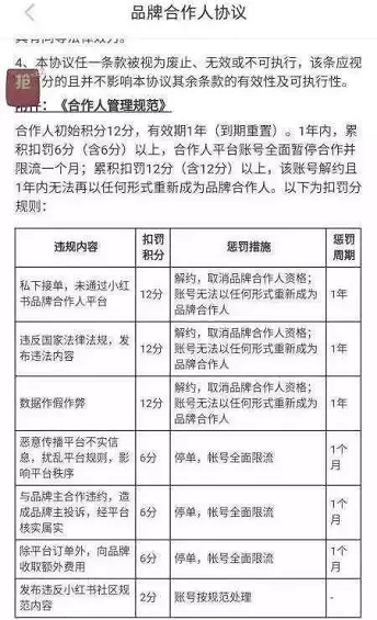 1 429 小红书清洗KOL
