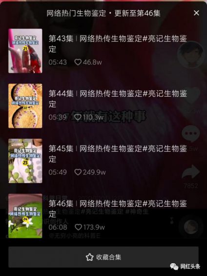 951 抖音7天吸粉111万，揭秘《无穷小亮》的涨粉科普日常！