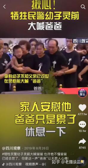  「四处调查」，如何做到一周涨粉610万，月涨粉1101万？