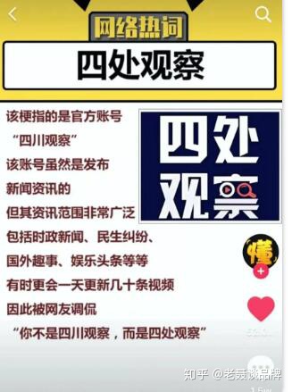  「四处调查」，如何做到一周涨粉610万，月涨粉1101万？