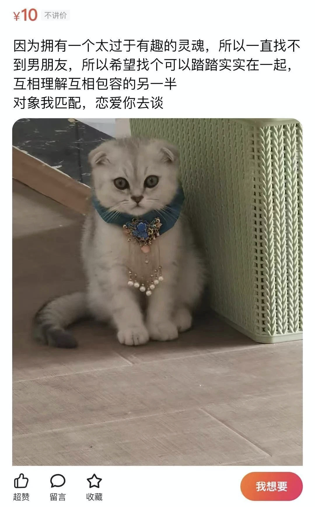 当代互联网相亲文学大赏
