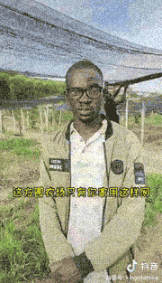 直播做中国菜的非洲人，成为了新的流量黑洞