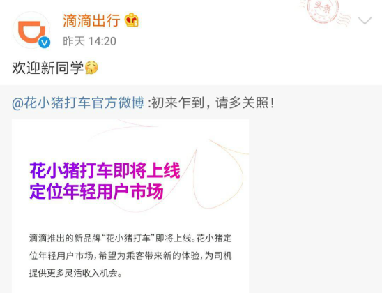 花小猪如何成为打车界的拼多多？