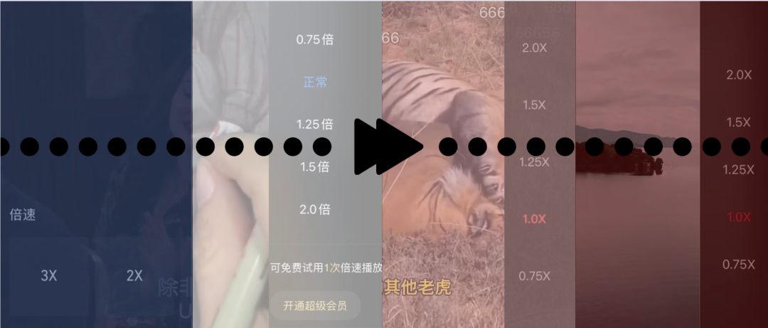 欢迎来到倍速的世界